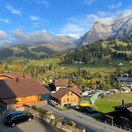 2-zimmer Mit Grossem Balkon Und Bergpanorama - 400m Von Talstation Sillerenbahn Adelboden