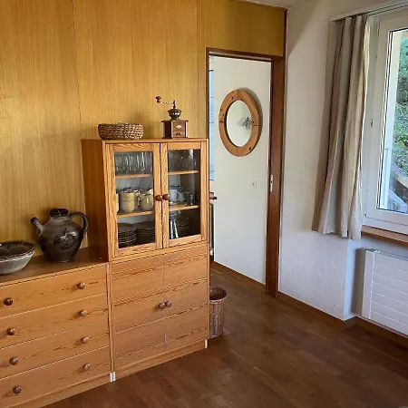 2-zimmer Mit Grossem Balkon Und Bergpanorama - 400m Von Talstation Sillerenbahn * アデルボーデン