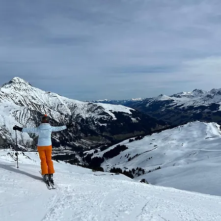 Daire 2-zimmer Mit Grossem Balkon Und Bergpanorama - 400m Von Talstation Sillerenbahn