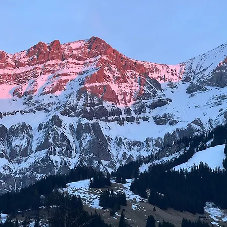 2-zimmer Mit Grossem Balkon Und Bergpanorama - 400m Von Talstation Sillerenbahn Adelboden