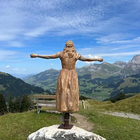 2-zimmer Mit Grossem Balkon Und Bergpanorama - 400m Von Talstation Sillerenbahn *