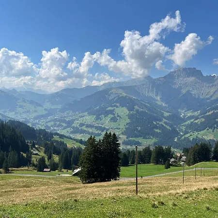 2-zimmer Mit Grossem Balkon Und Bergpanorama - 400m Von Talstation Sillerenbahn Adelboden