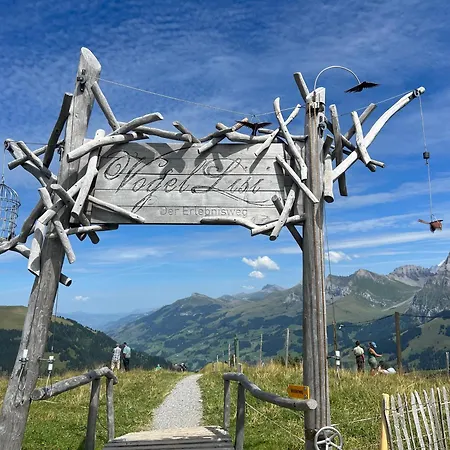 2-zimmer Mit Grossem Balkon Und Bergpanorama - 400m Von Talstation Sillerenbahn Apartament Adelboden