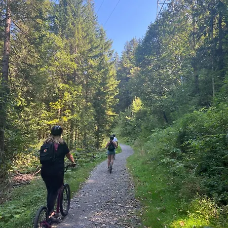 2-zimmer Mit Grossem Balkon Und Bergpanorama - 400m Von Talstation Sillerenbahn Lägenhet Adelboden