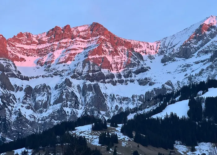 2-zimmer Mit Grossem Balkon Und Bergpanorama - 400m Von Talstation Sillerenbahn Adelboden