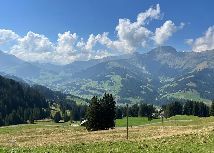 2-zimmer Mit Grossem Balkon Und Bergpanorama - 400m Von Talstation Sillerenbahn 아델보덴