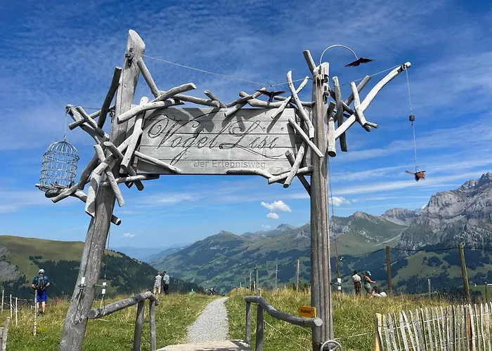 2-zimmer Mit Grossem Balkon Und Bergpanorama - 400m Von Talstation Sillerenbahn Lejlighed Adelboden