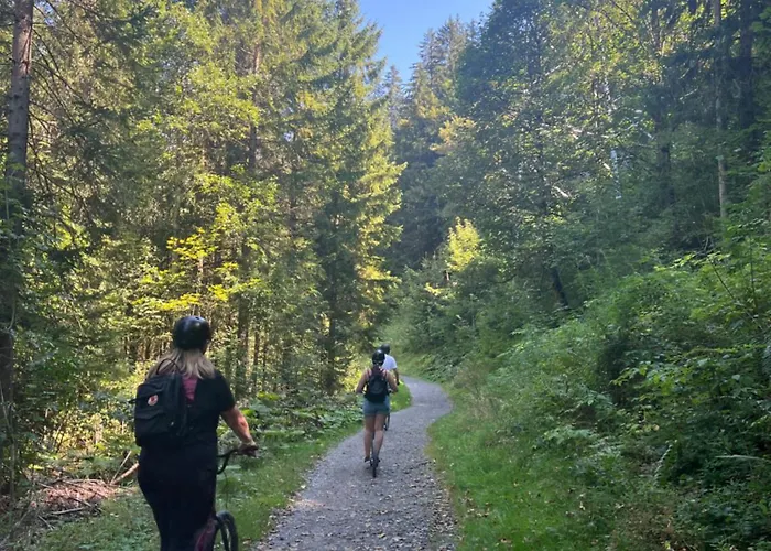 2-zimmer Mit Grossem Balkon Und Bergpanorama - 400m Von Talstation Sillerenbahn Lejlighed Adelboden